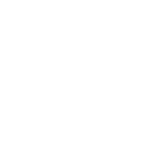 circle vector.png